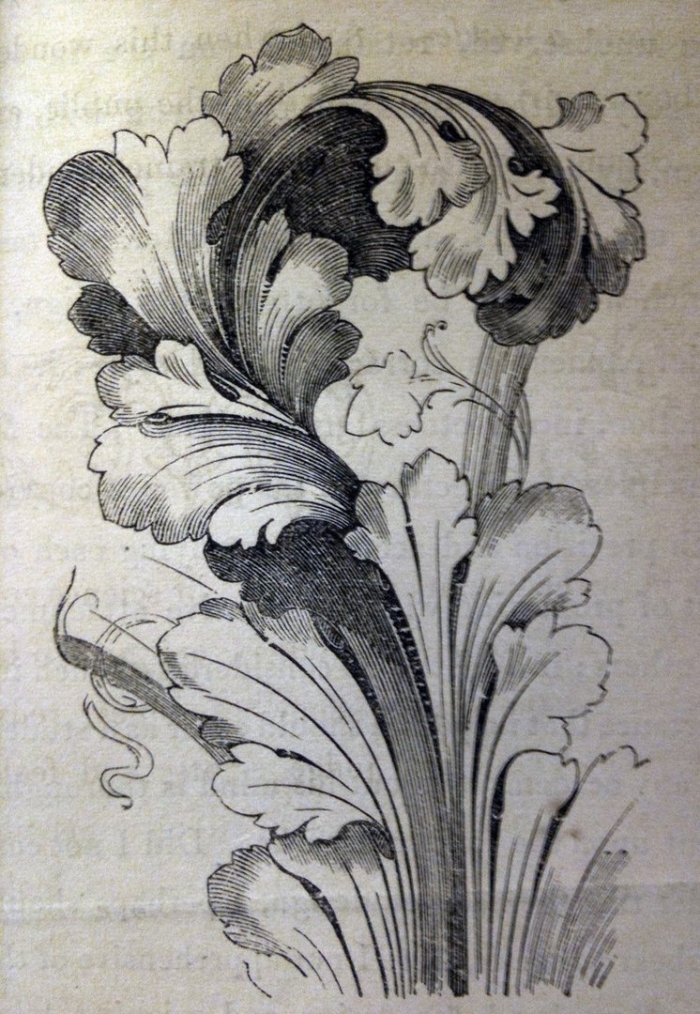 Акант орнамент барокко