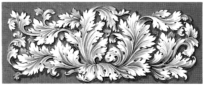 Акант орнамент барокко