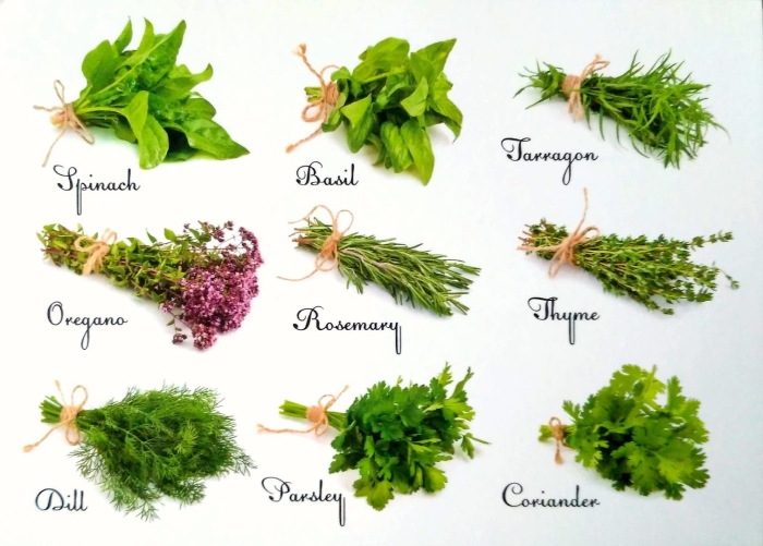 Травы специи