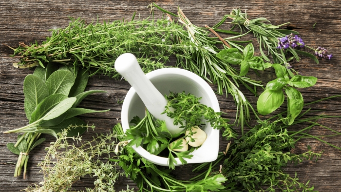 Травы и специи