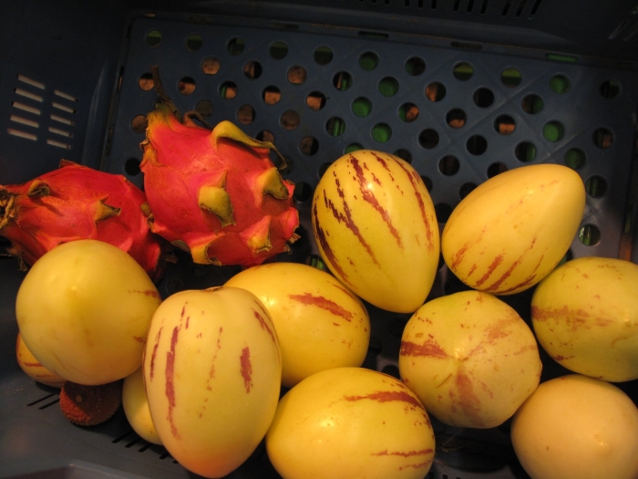 Пепино рамзес дынная груша