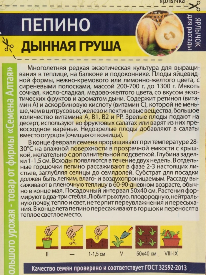 Семена пепино дынная груша