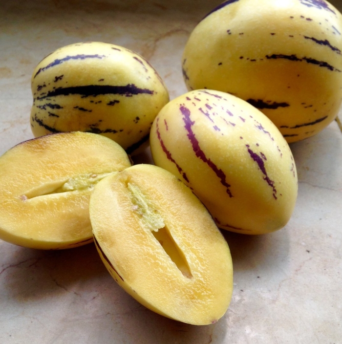 Дынная груша пепино