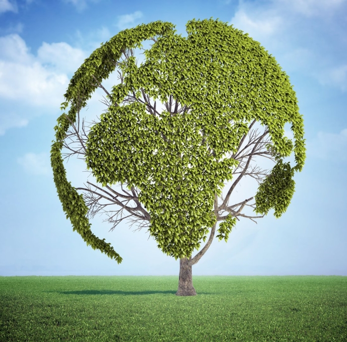 Эко дерево
