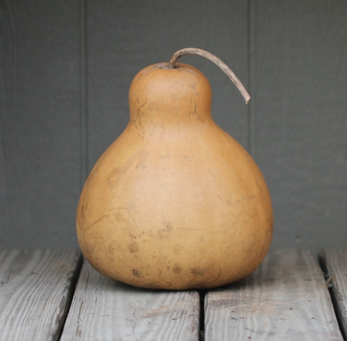 Тыква грушевидная