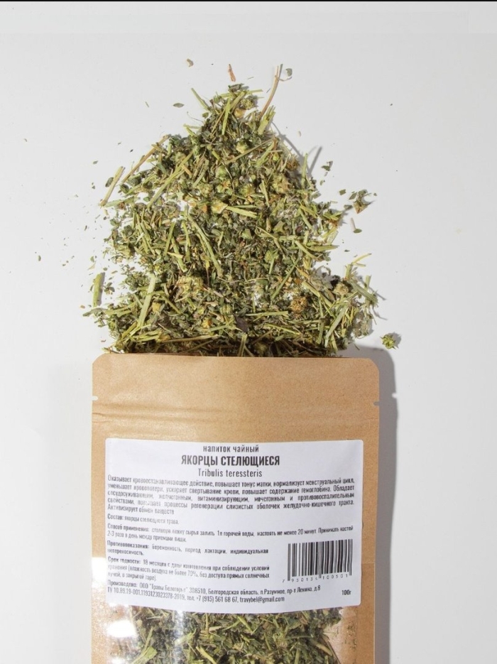 Якорцы стелющиеся