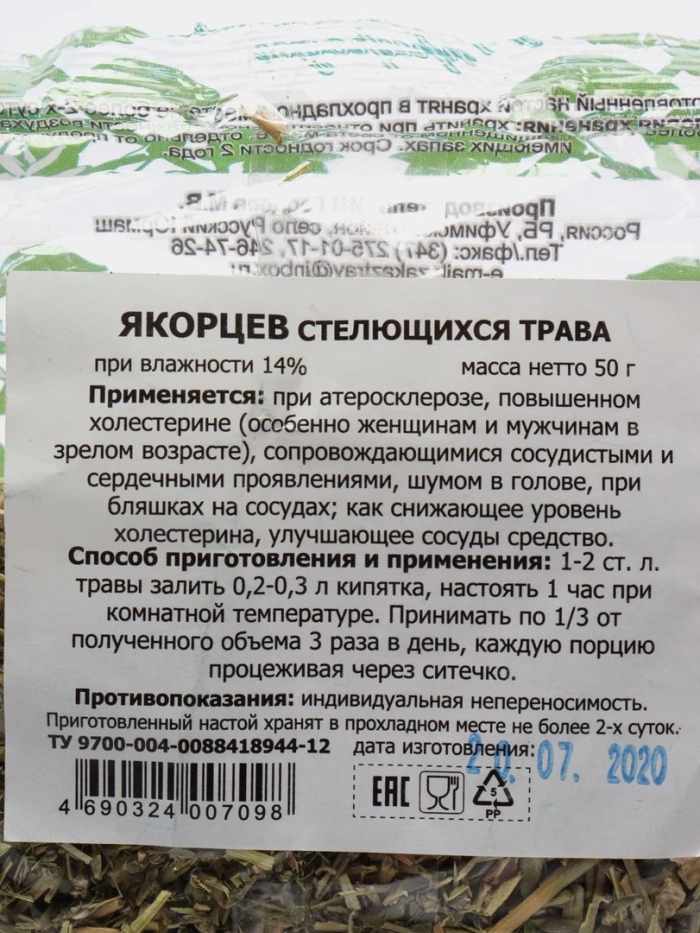 Якорцев стелющихся трава