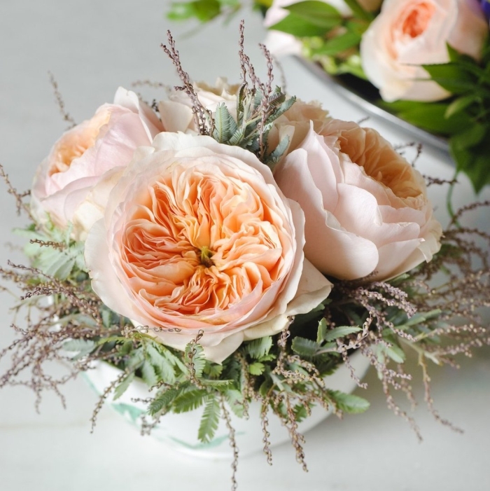 Пионовидная роза дэвид остин