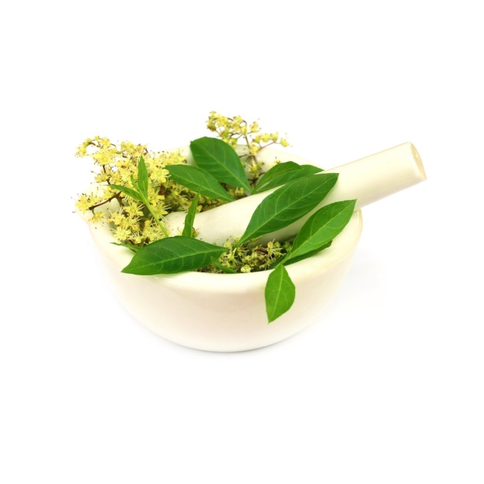 Лавсонии неколючей