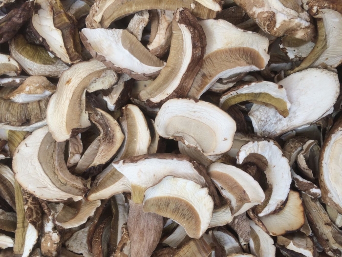 Грибы белые сушеные алтайские