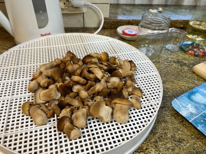 Вареные грибы