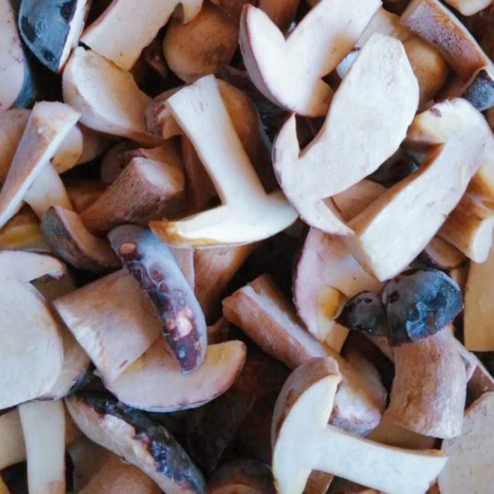 Сушёный белый гриб