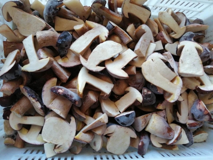 Сушеные белые грибы