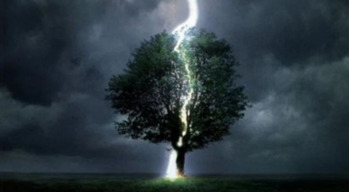 Молния в дерево