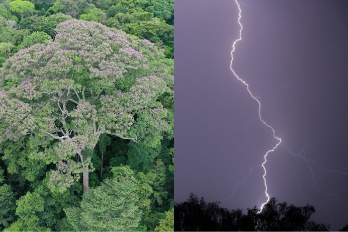 Гроза и молния