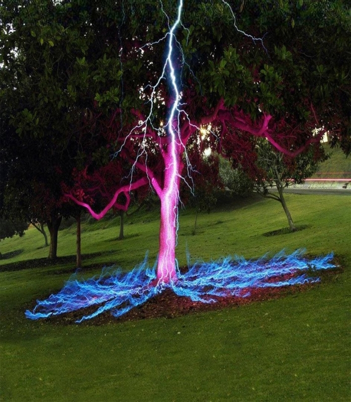 Дерево с подсветкой