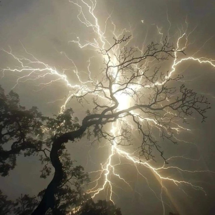 Молния в дерево