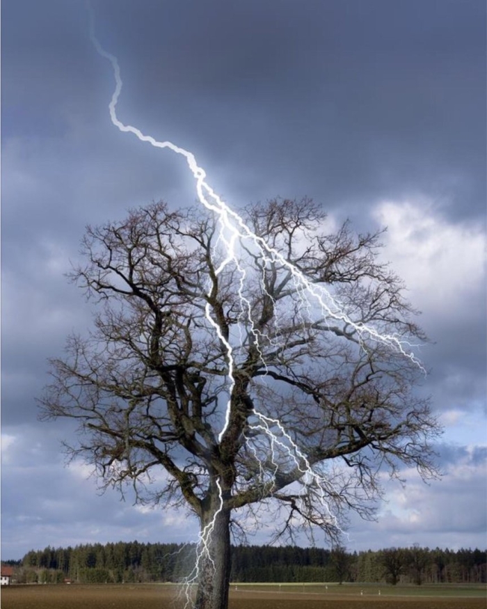 Молния в дерево