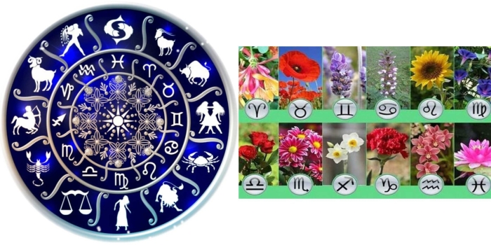 Цветы знаков зодиака