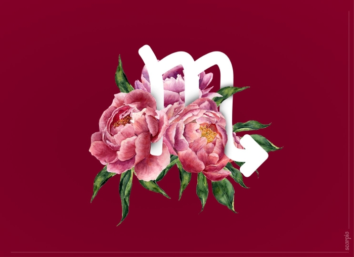 Знак зодиака скорпион