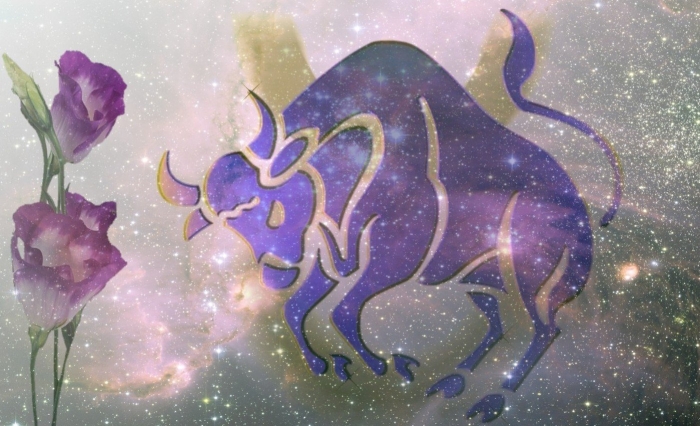 Телец знак зодиака