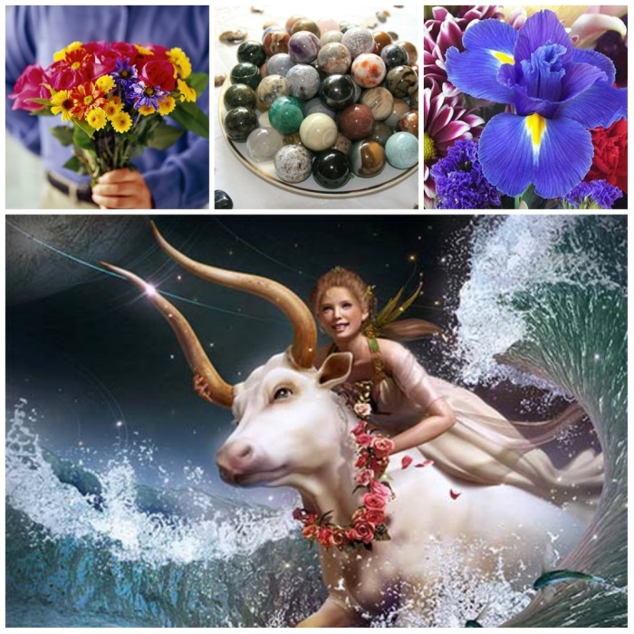 Телец цветок по знаку зодиака