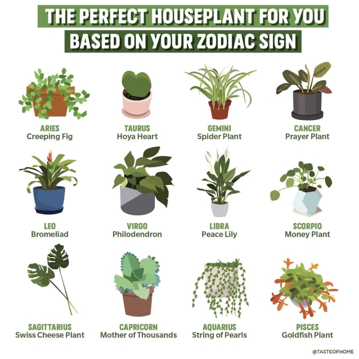 Plants zodiac