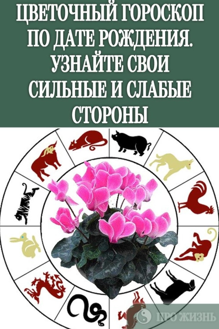 По гороскопу