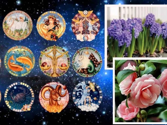 Гороскоп для всех знаков зодиака