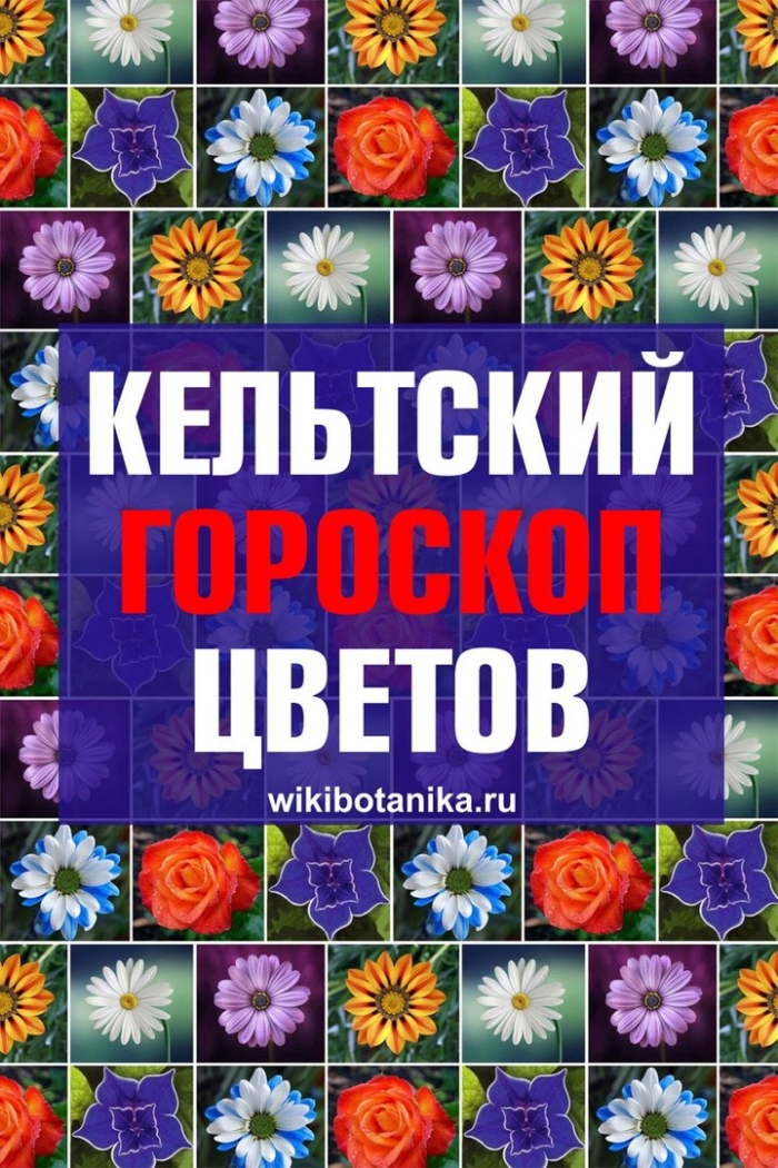 Гороскоп цветов
