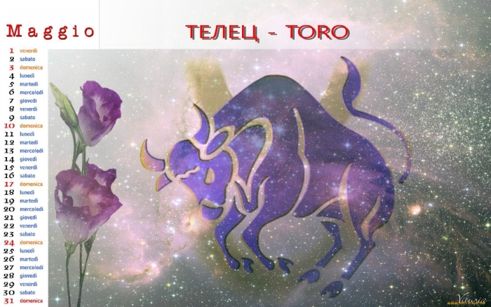 Зодиакальное созвездие тельца