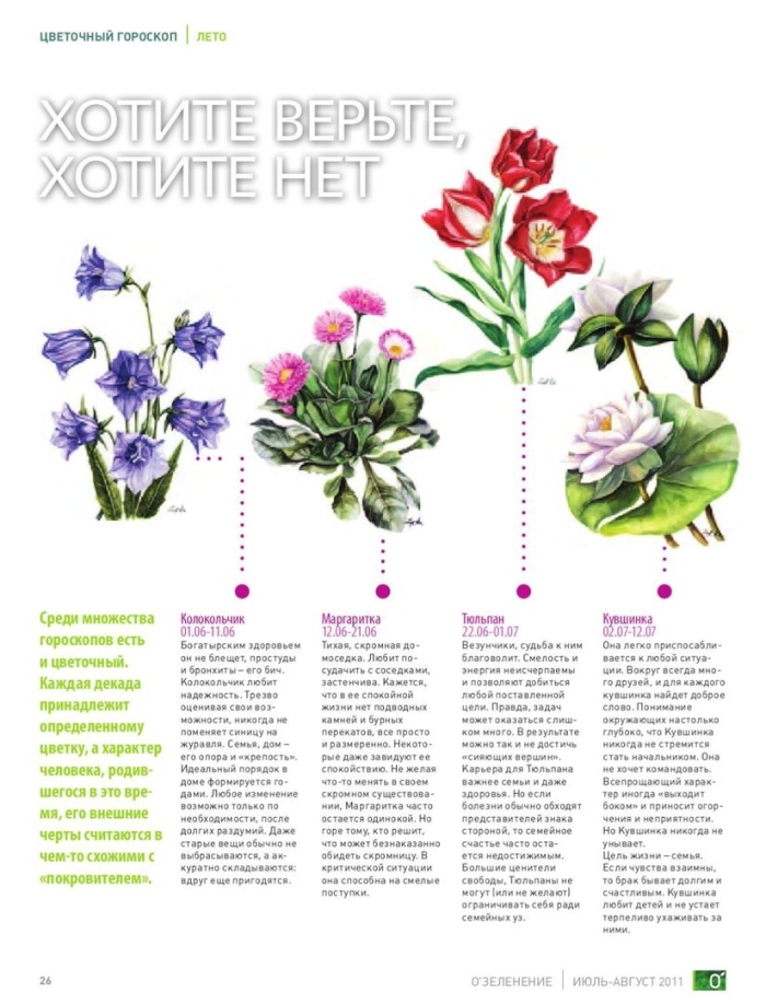 Цветы энциклопедия