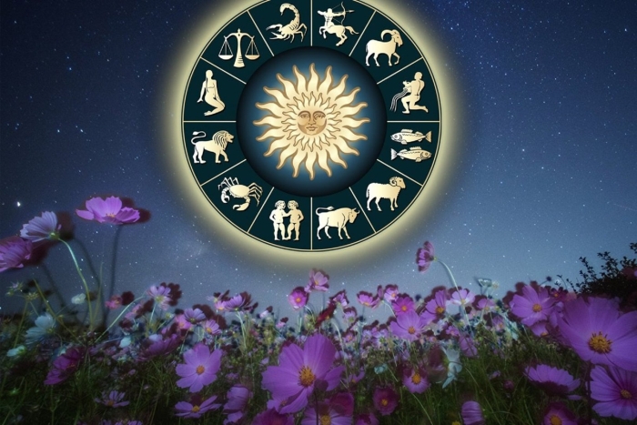 Знака зодиака