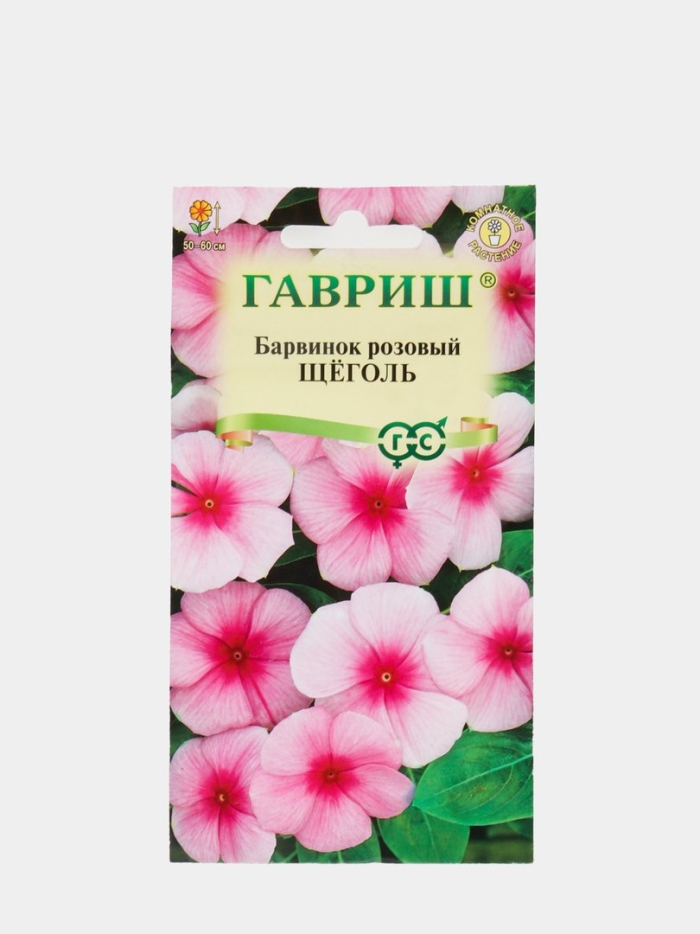 Барвинок розовый катарантус щеголь