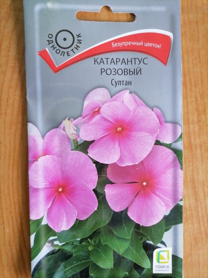 Катарантус падишах розовый