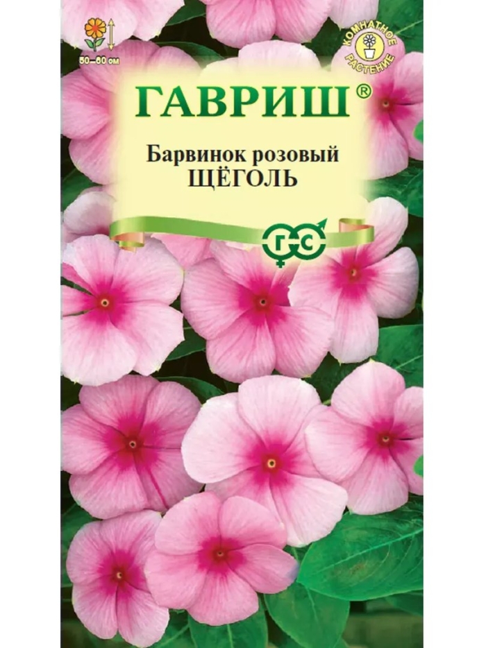 Барвинок розовый щеголь