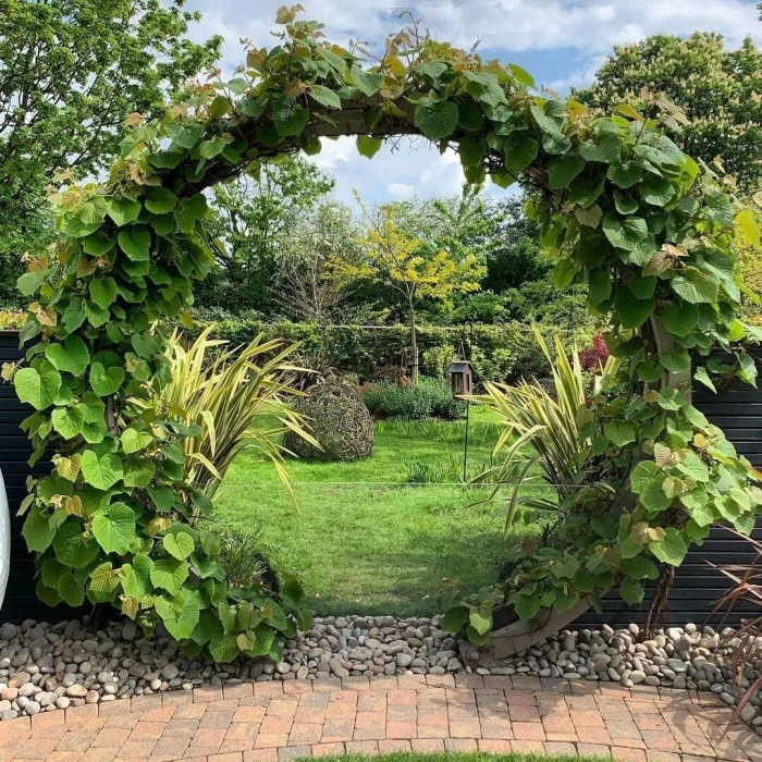 Пергола арка увитая растениями