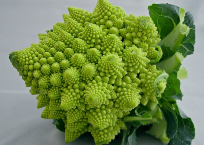 Капуста романеско
