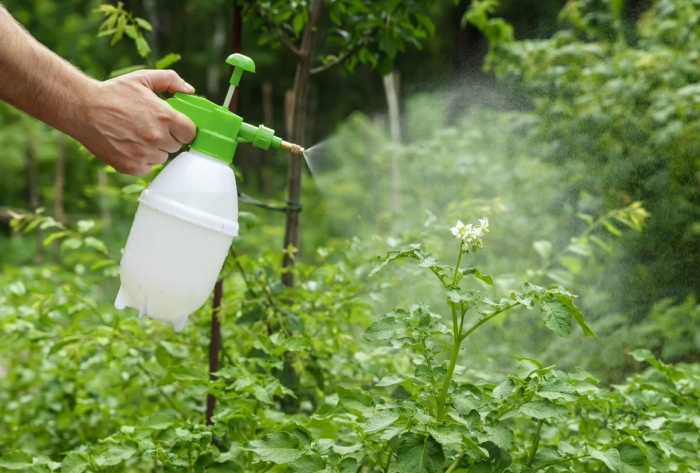 Опрыскивание растений