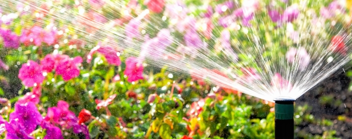 Системы полива