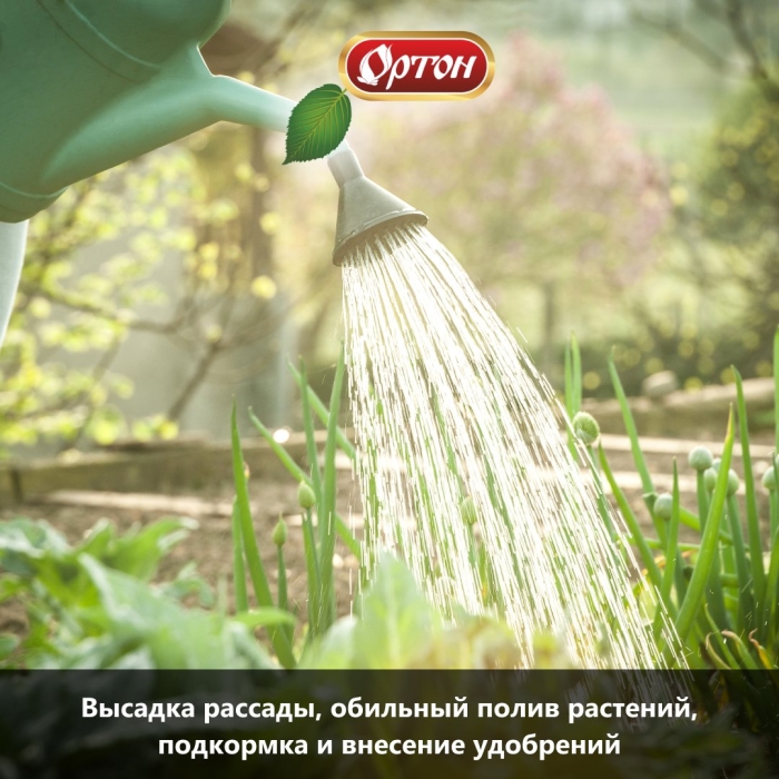 Полив огорода