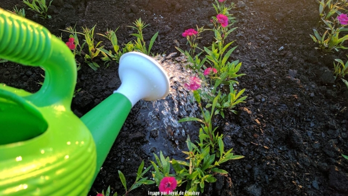 Садовые инструменты