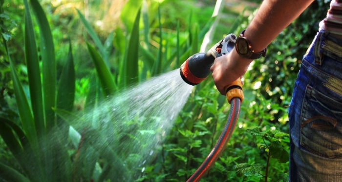 Watering irrigation