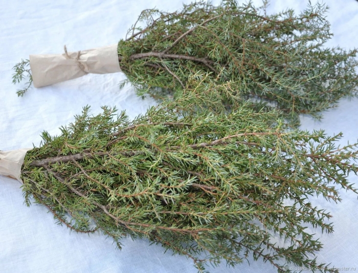 Кытыан можжевельник