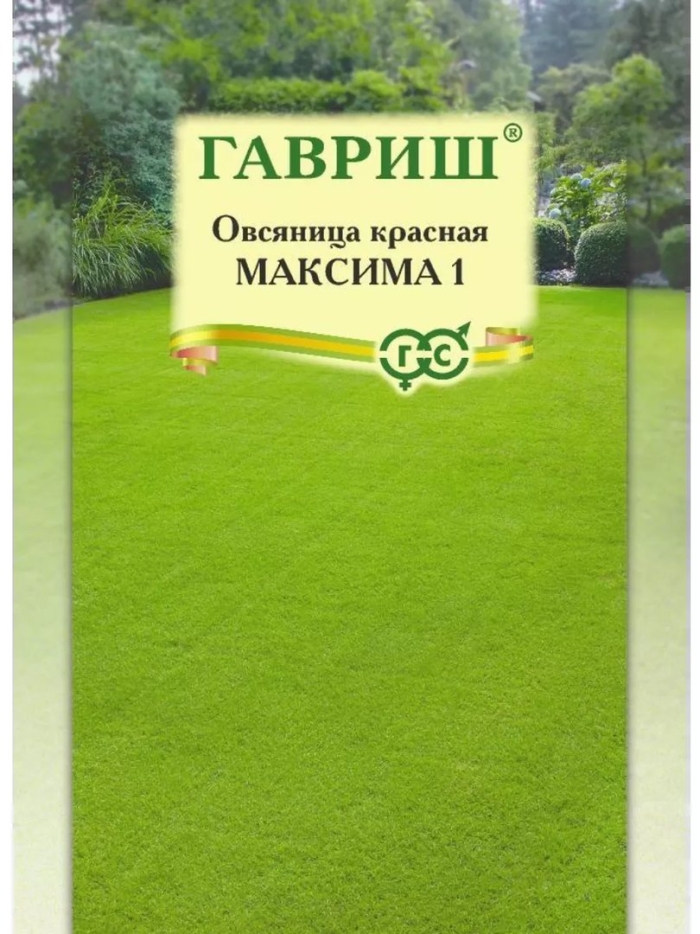 Овсяница красная максима 1