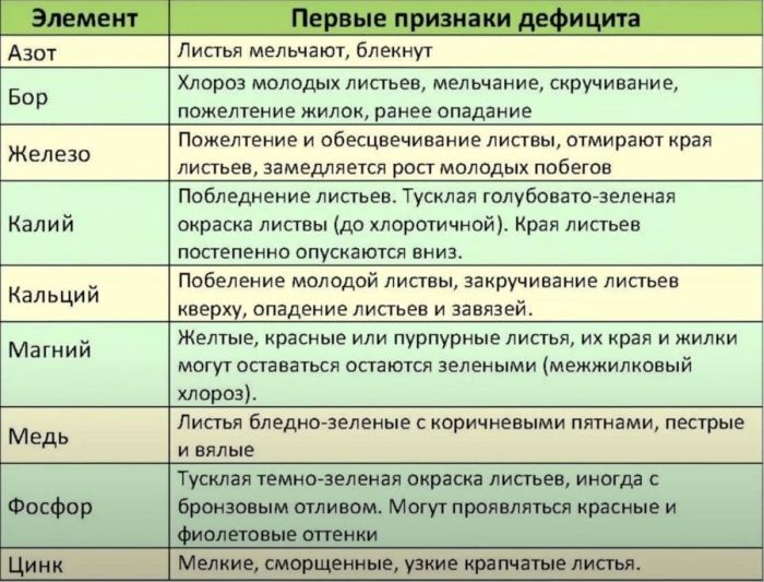 Таблица подкормок плодовых деревьев и кустарников
