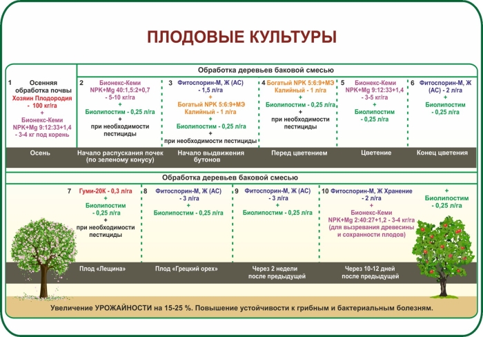 График удобрений плодовых деревьев
